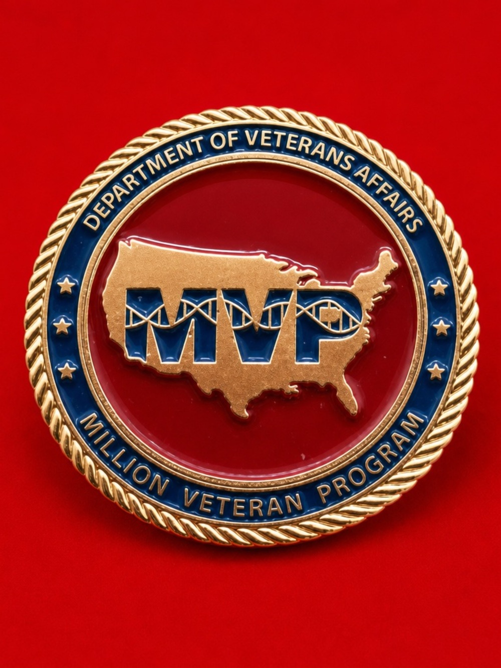 Department of Veterans Affairs Veteran Pin